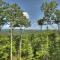 New Heights - Sweeping Mountain Views Await - Blue Ridge