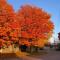 Direct Lakefront cottage on Lake Simcoe in Orillia - Orillia