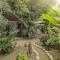 Hostal Palomino EcoHouse & Camping