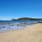 Dolphinview