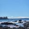 Dolphinview