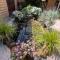 Patricias Garden Studio