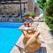Athenas Pool Oasis
