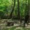 A Creek Runs Thru It - Secluded Waterfront Cabin - Cherry Log