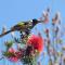 Swallows Cottage, Margaret River