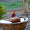 Swallows Cottage, Margaret River