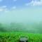 Haze wind vagamon