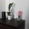 Apartament Kalwaria Piekary - 希隆斯克地区佩卡雷