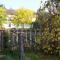 Le Faing Du Bray photo 23
