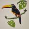 Fauna Lodge