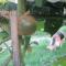 Magic House In The Magic Woodland - Envigado Medellin