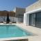 Mesogi Villas, brand new modern, stylish villas, private pool, seaviews - 梅加尼西岛