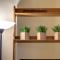 Academy House by Mamo Florence