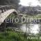 Viveiro Dreams - 比韦罗