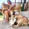 Amazi Land Home and Farm Stay