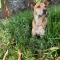 Amazi Land Home and Farm Stay