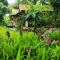Areeya Phuree Resort Thaton