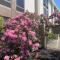 Hampton Inn New Bedford/Fairhaven