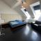 Spacious Karlin Lofty Apartment - براغ