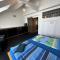 Spacious Karlin Lofty Apartment - براغ
