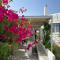 Villa Ambelas - Traditional House