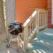 Eagle River Apartment w/ Private Dock & Fire Pit!