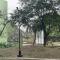 Samruddhi S3 homestay garden villa or S1