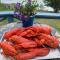 Trade Winds on the Bay - Rockland