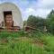 Covered Wagons Hill Camp - WAGON 3
