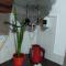 Pergamino GUEST HOUSE