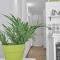 Apartamento Con Encanto
