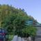 The Prunus Home