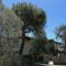 Villa Margherita