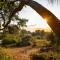 Kruger Untamed - Tshokwane River Camp