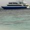 Maldives Safary Tours