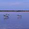 The Jetty Hut - Lake Frontage Barmera Riverland