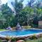Royal Amertha Ubud Jungle View