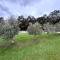 The Homestead at Daltons Paddock