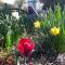 Folster Gardens Bed and Breakfast
