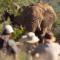 Rhulani Safari Lodge