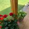 Szárszó Apartment with 3 rooms and PRIVATE BEACH, PRIVATE PARKING - Balatonszárszó