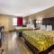 Econo Lodge Near Lackland Air Force Base-SeaWorld