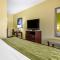 Comfort Inn Athens I - 75