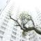Relaxing 1BR Apartment at Parahyangan Residence near Cihampelas By Travelio