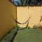 Yellow House Hostel