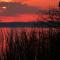 Golf and Tennis Community Studio - Peaceful Pond Paradise - Pet friendly