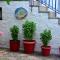 Mirsini Apartments - Kariotes
