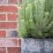 Dovecote - Launceston Luxury