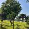 Podocarpus cottages