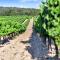 Bastide Domaine Tour Campanets - 勒皮伊圣雷帕拉德
